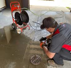 Kitchen & sink drain cleaning